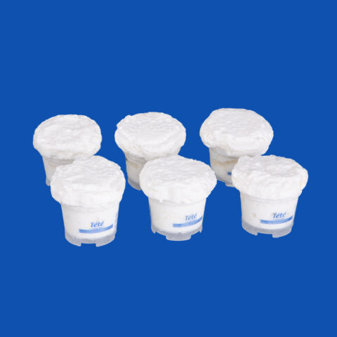Queijo Fresco de Vaca Tété 6un. 80g