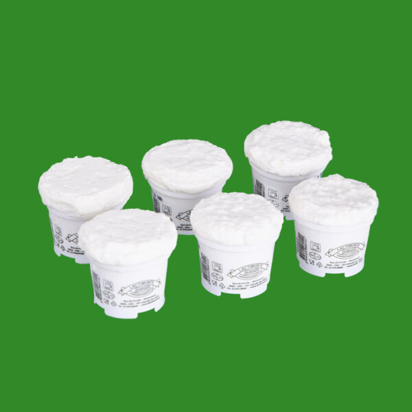 Queijo Fresco de Vaca Lactimonte Pequeno 6un. 90g